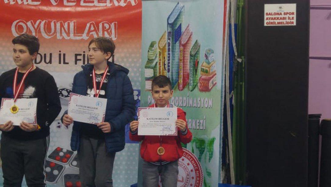 Türkiye Akıl ve Zeka OyunlarıTurnuvasının İl Seçmeleri